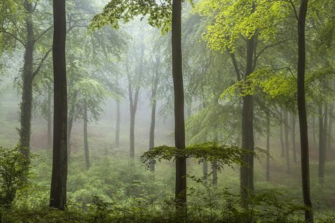 Krajina Fotograf roka 2018 fotografia