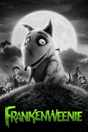 čiernobiely filmový plagát s názvom frankenweenie v neónovo zelenej farbe a na obrázku je animovaný pes s očkami všade a rodina strašidelne vyzerajúcich ľudí v pozadí
