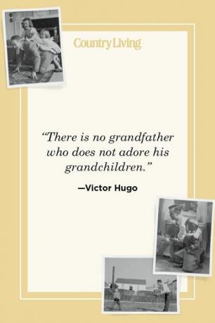 „Neexistuje žiadny dedo, ktorý by nezbožňoval svoje vnúčatá“ - Victor Hugo