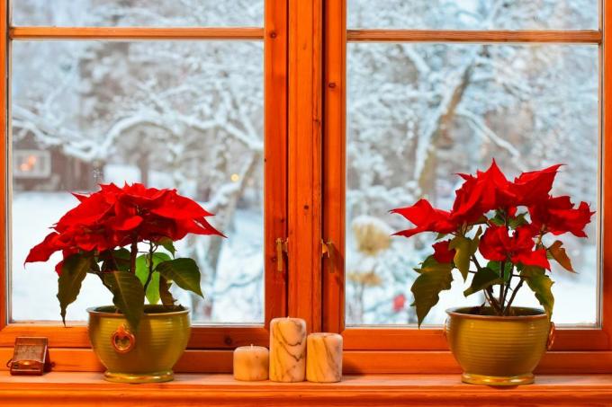 nórske vianočné tradície dve vianočné hviezdy a svietniky v kuchyni pohľad z okna na záhradu a stromy so snehom