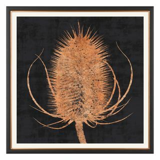 Charlotte Oakley Copper Teasel Print