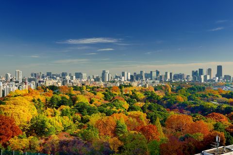 Letecký pohľad na jesenné farby Shinjuku Gyoen, Tokio