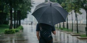 zadný pohľad na inteligentného kauzálneho muža, ktorý drží dáždnik a prechádza sa po parku v daždivom mestskom meste