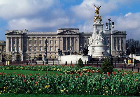 Tulipány pred Buckinghamským palácom