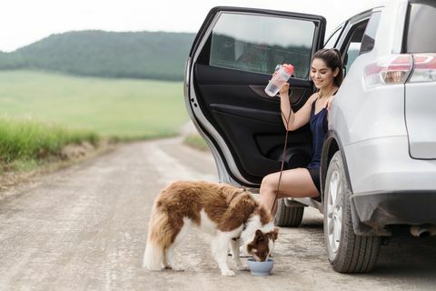 mladá latino žena sediaca vo svojom aute s otvorenými dverami na ceste v prírode a so psom, ktorý pije vodu z misky