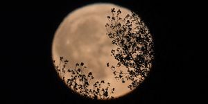 Harvest Moon vychádza nad Somersetom