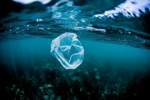 plastová taška plávajúca nad útesom v oceáne, Kostarika
