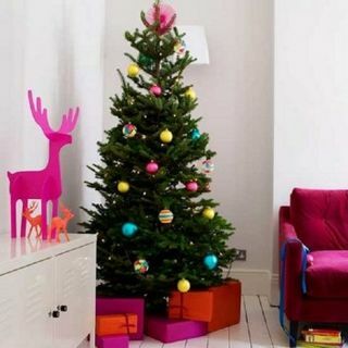 Vianočný stromček jedľa Nordmann – čerstvý narezaný nepadajúci luxusný stromček (približne 6 stôp) + doručenie 7. decembra – 12. decembra +