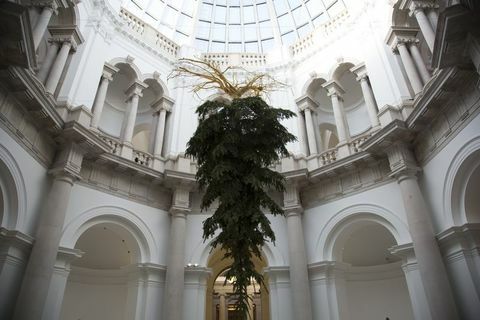 hore nohami vianočný strom v Británii