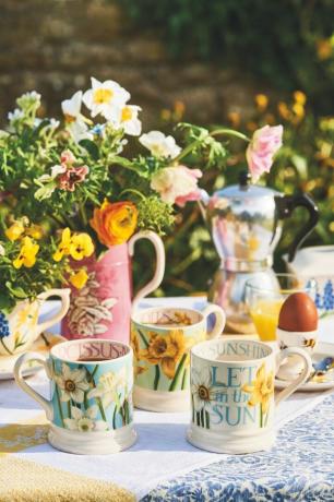 jarná kolekcia emma bridgewater