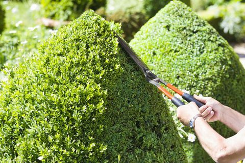 Dobre udržiavaná záhrada môže zvýšiť hodnotu vášho majetku o 2 000 GBP