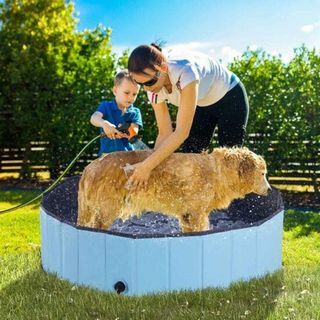 PawHut Pet Pool Swimming Indoor & Outdoor 