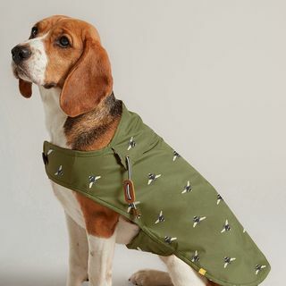 Olivovo zelený voskovaný kabát pre psov 