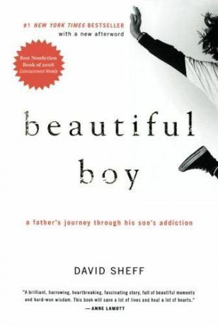 Krásny chlapec: Cesta otca cez závislosť jeho syna