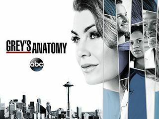 Grey's Anatomy Season 15