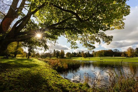 lydiard park je vidiecky park s rozlohou 260 hektárov na západnom okraji Swindonu s palladiánskym domom, kostolom a ohradenou záhradou v bývalom v areáli historickej usadlosti je spravovaný miestnym zastupiteľstvom ako otvorený priestor s voľným prístupom pre obyvateľov a návštevníkov swindon