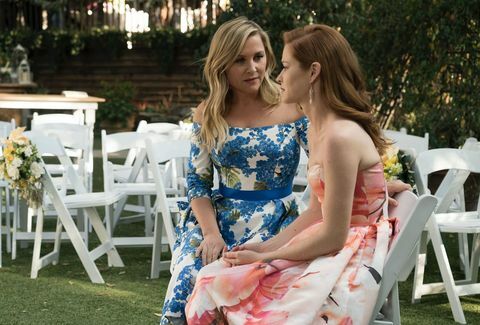 Grey's Anatomy s14e24: Jessica Capshaw ako Dr. Arizona Robbins a Sarah Drew ako Dr. April Kepner