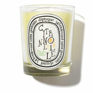 Diptyque Candle Citronnelle Summer '22