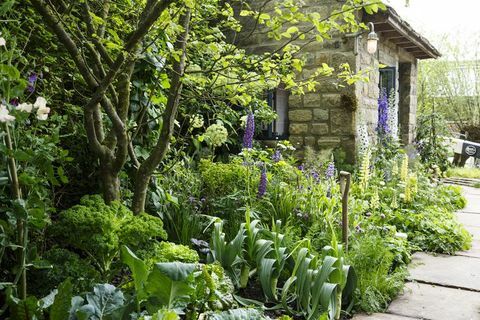 Vitajte v záhrade kvetov Yorkshire Chelsea Flower Show 2019 Mark Gregory