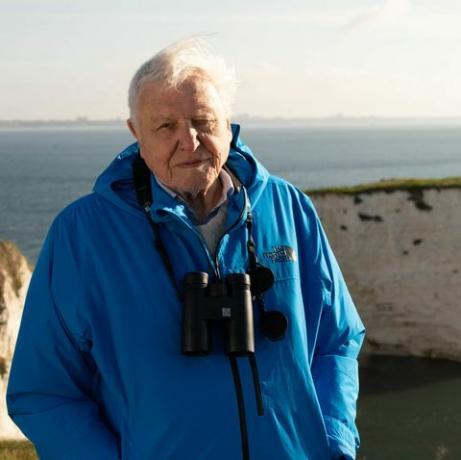 divoké ostrovy, 12 02 2023,naše vzácne ostrovy, 1,sir david attenborough, sir david attenborough predstavuje sériu divokých ostrovov za úsvitu v starých harrysových skalách, dorset, uk 2022,filmy so striebrom, chris Howard