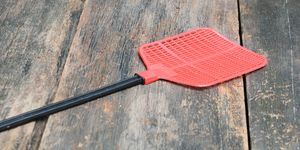 červená plácačka na muchy jednoduchá plácačka na muchy vyrobená z plastu a neochvejná v chytaní múch na pozadí drevenej podlahy