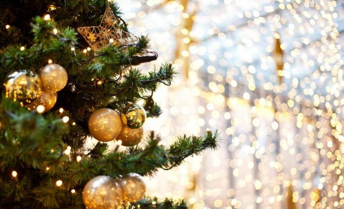 orezaný vianočný stromček s ozdobami v noci