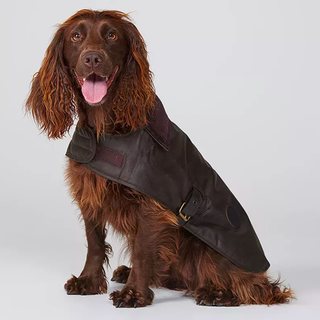 Barbour voskovaný kabát pre psov, tmavohnedý