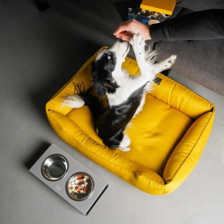 ŽLTÁ Pelech pre psa s odnímateľným poťahom svetlé hniezdo pre psa MUSTARD XS - Xxl veľkosť podložka pre psa, Darček pre majiteľov psov