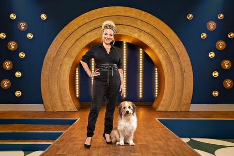 bbc one's pooch perfektné všetko, čo potrebujete vedieť