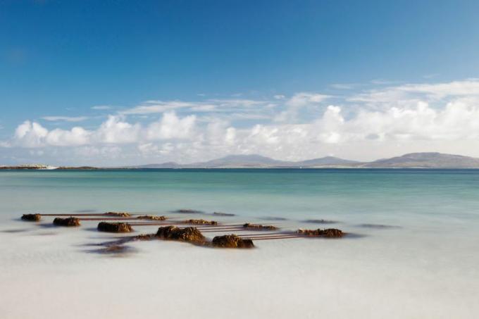 Morské riasy na brehu na pláži Eilogarry; Ostrov Barra, Škótsko