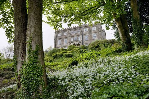 Park Newark a divoký cesnak © National Trust Images Andrew Butler