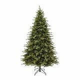 Sviatočný vianočný stromček Apalačská borovica s hmotnosťou 7,5 stôp