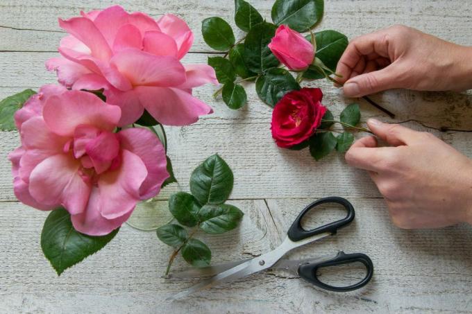 orezaný obrázok kvetinárstva držiaceho ružu s kvetmi na stole