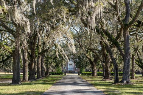 Plantáž z hájov fenwick - predaj plantáží Charleston