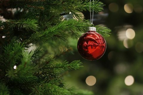 Vianočný cetka visí zo stromu