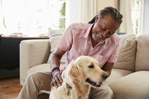 starší muž sediaci doma na pohovke so psom labradorom
