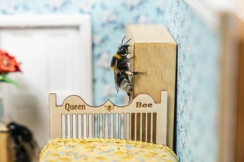 maličký domov dôchodcov pre včely sa spúšťa vo Veľkej Británii z veľmi dobrého dôvodu