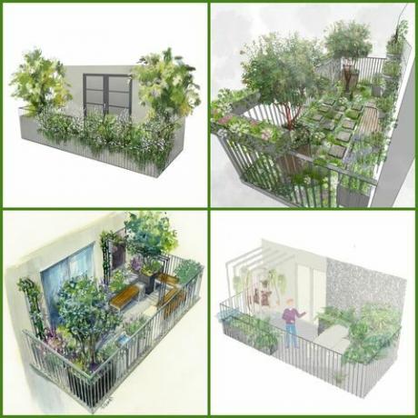 rhs chelsea kvetinová výstava 2021 balkónové záhrady