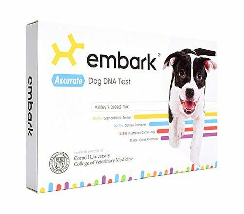 V súprave DNA Embark Dog DNA pre deň Amazon Prime Prime je obchod s bleskami