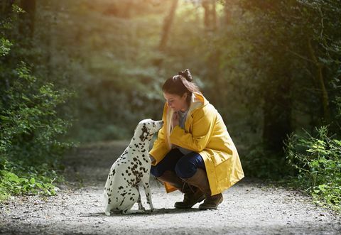 Žena s dalmatínskym psom na lesnej ceste.