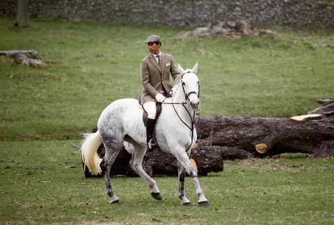 Prince Charles, princ z Walesu, jazda na koni v angličtine