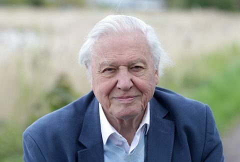 Sir David Attenborough fotka