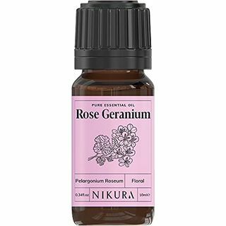 Ruža Geranium