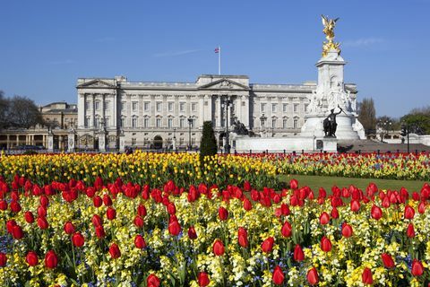 Buckinghamský palác