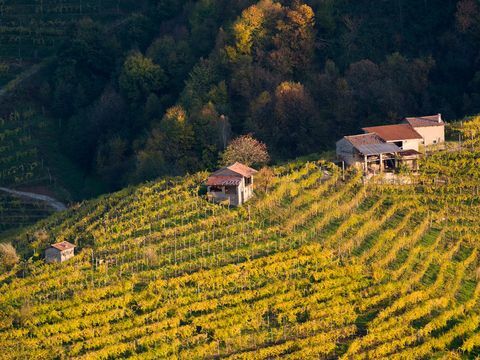 Vinice vo Valdobbiadene, krajina vína Prosecco