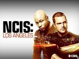 NCIS: Los Angeles Season 9