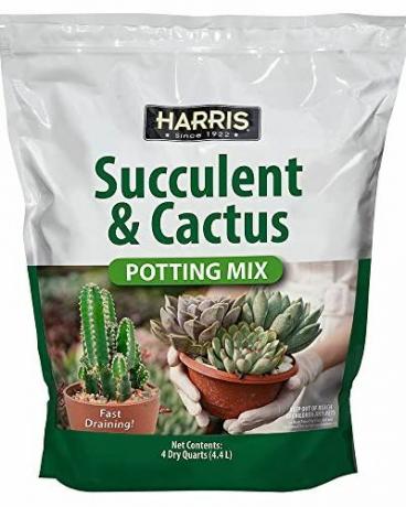 Harris prémiová sukulentná a kaktusová zalievacia zmes