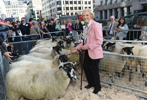 Mary Berry v ovčie pero na London Bridge