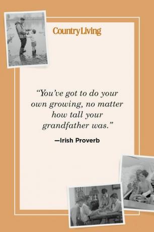 „Musíš si dorásť sám, bez ohľadu na to, aký vysoký bol tvoj dedko“ - irské príslovie