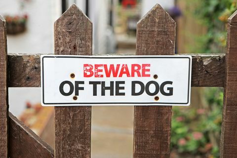 pozor na znamenie psa na plote